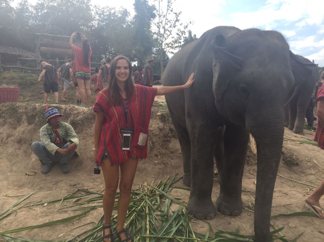 Elephant Jungle Sanctuary