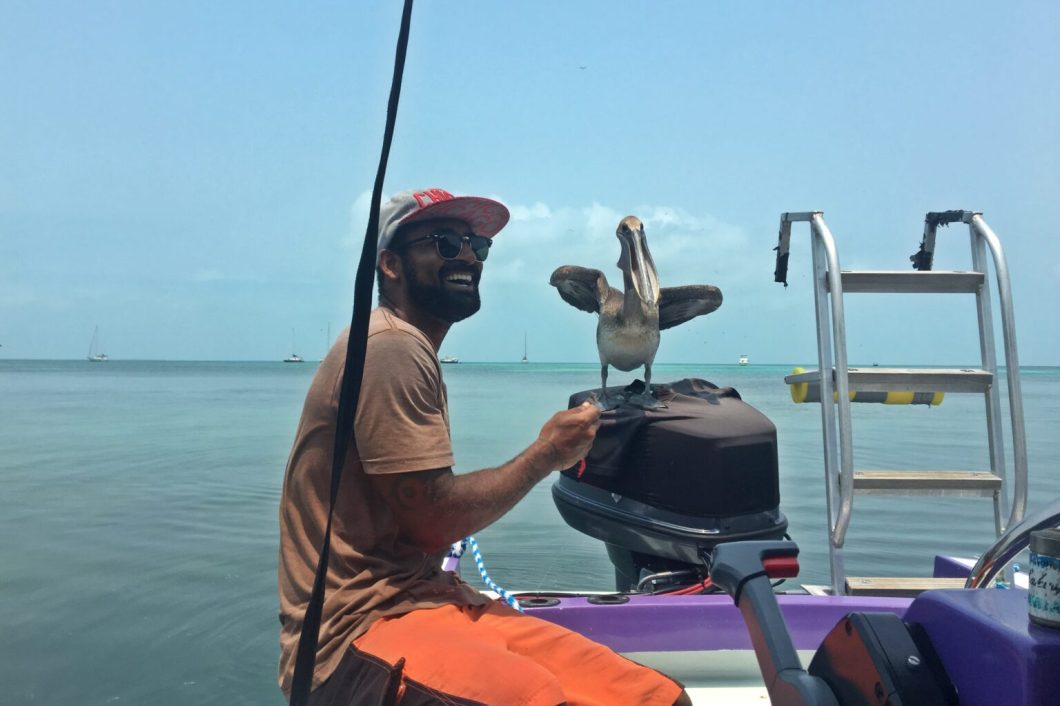 Pelícano-Caye-Caulker-1536x1024